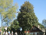 thn_IMG_0367.jpg